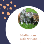 About Meditations With My Cats